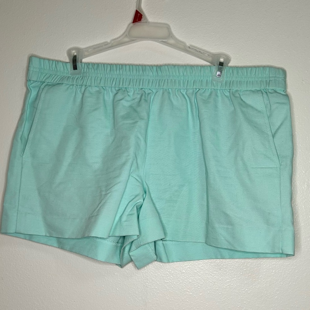 Jcrew 100% cotton mint shorts